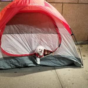 Meet your Posher, Itzel